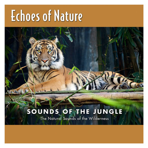 少萝被男生操逼
